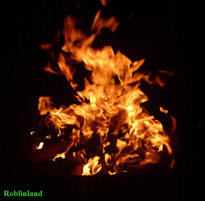 HD wallpaper burning wood at night, fire, flame, fire bowl